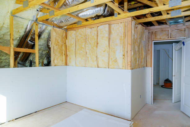 Best Eco-Friendly Insulation in Dania Beach, FL