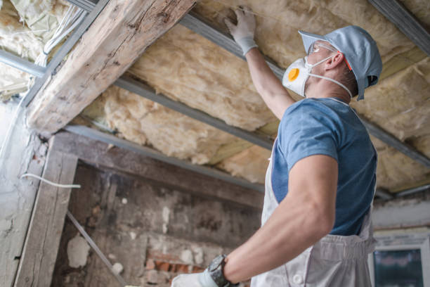 Best Residential Insulation in Dania Beach, FL