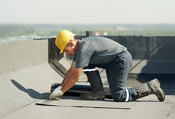  Dania Beach, FL Insulation Contractor Pros